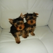 2 m�s�ce