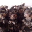 Naposledy ve �tyrech ve t�ech m�s�c�ch.
